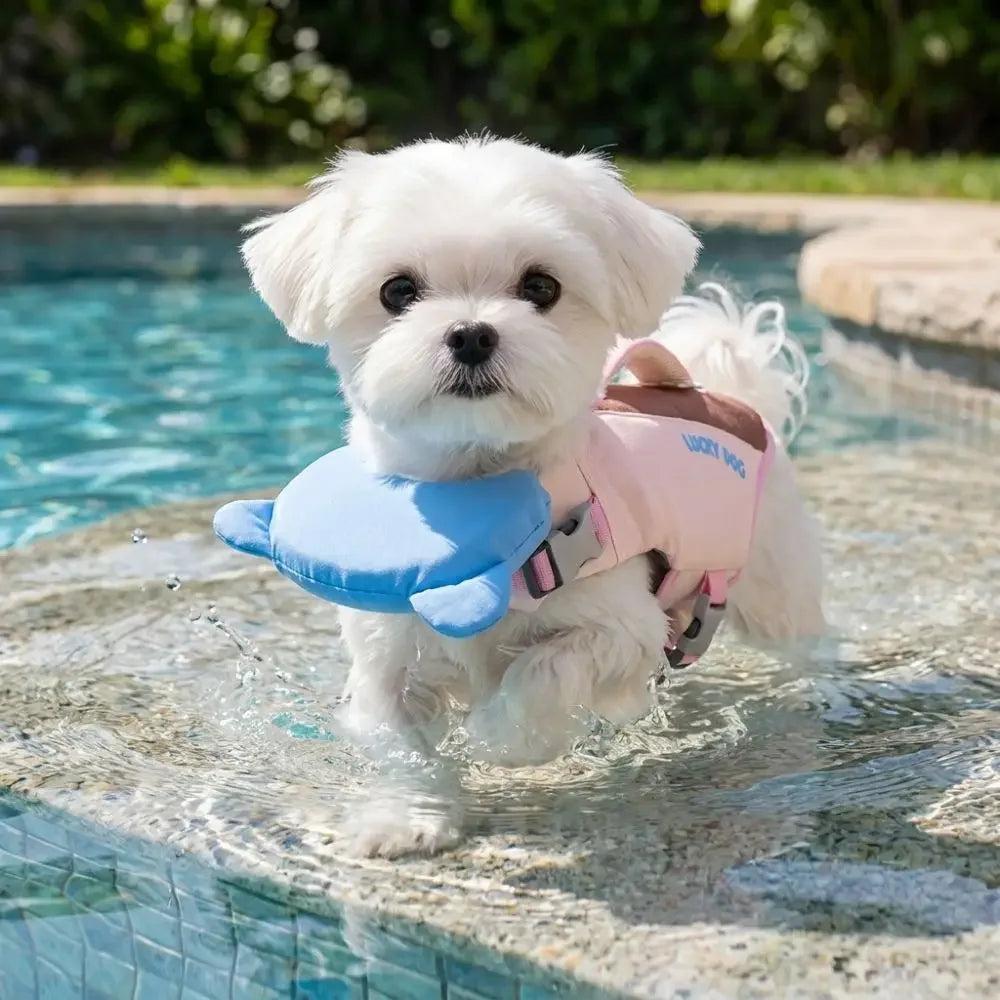 Strong Buoyancy Dog Life Jacket Adjustable Breathable Dog Swimming Suit Waterproof Thick Sponge Pad Pet Life Vest Boating